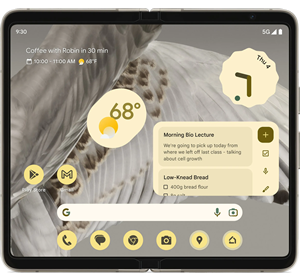 Google Pixel Fold